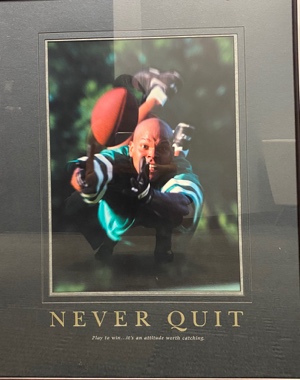 Lot #4.2 Motivational Posters, Never Quit-