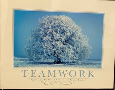 Lot #4.4 Motivational Poster, Teamwork