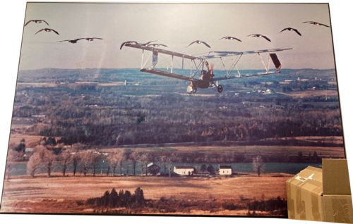 Lot # 25.12 1988 Feature – Rick Eglinton Image that inspired movie “Fly Away Home”