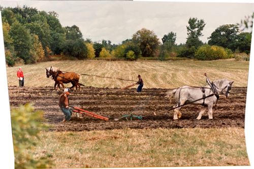 Lot #46.10 Plowing the Fields