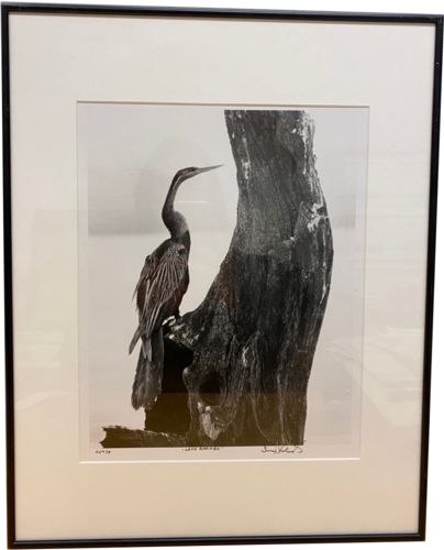 lot #48.3 Kenya “Lake Baringo” Original Photograph